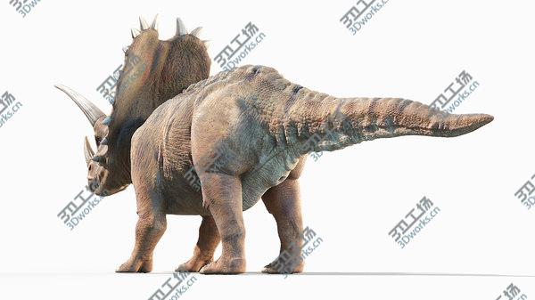 images/goods_img/20210312/Pentaceratops model/4.jpg